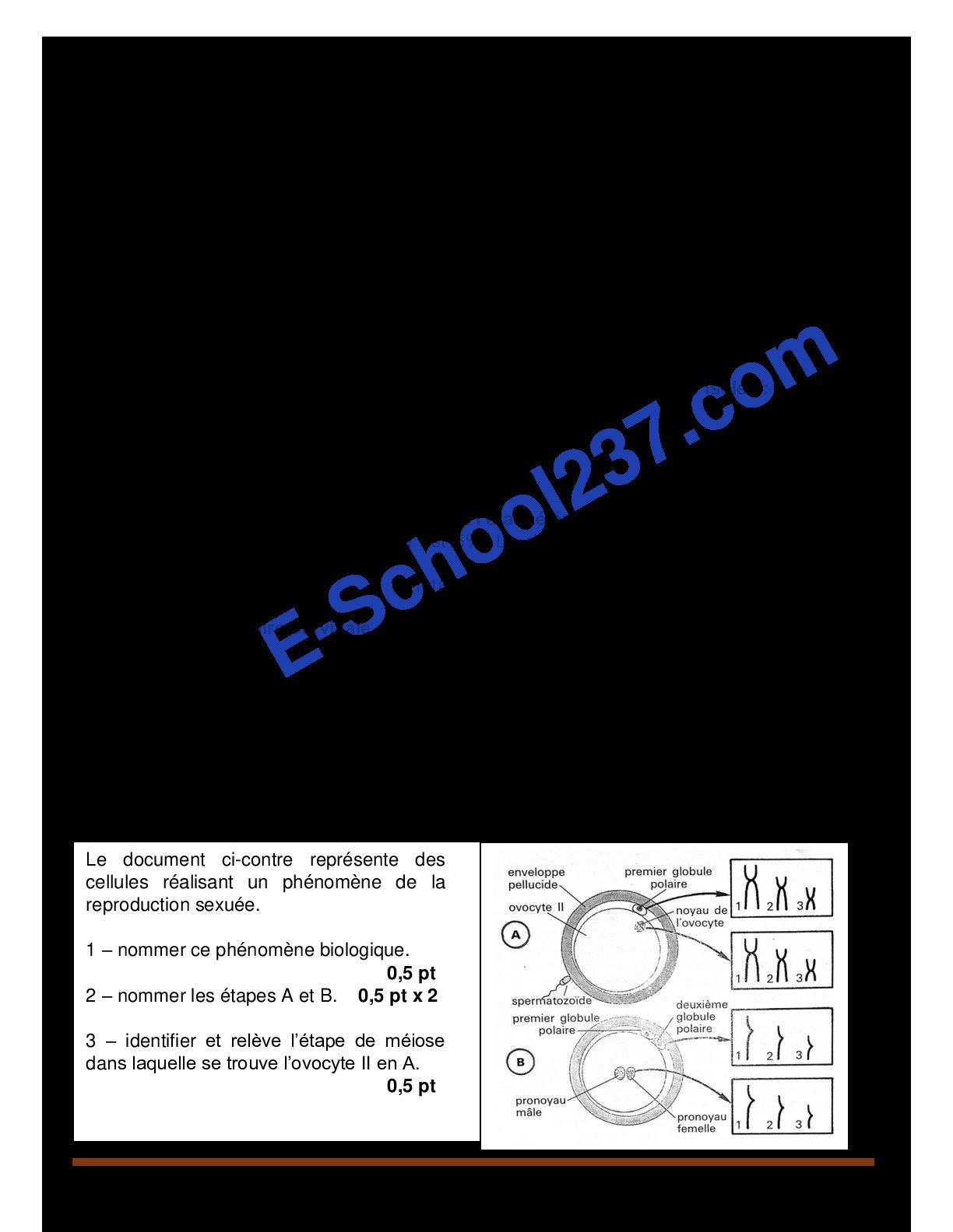 BAC  C Blanc CE - SVTEEHB. 2025